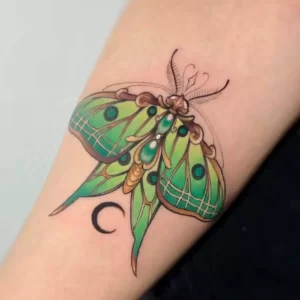 AnyConv.com__Galeria8